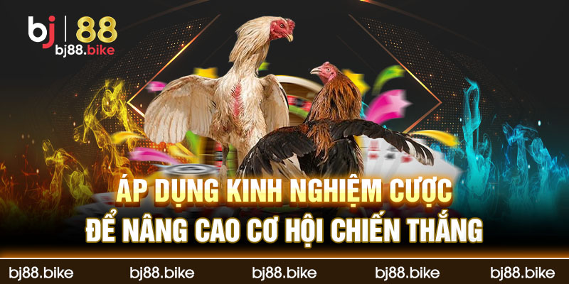 Áp dụng kinh nghiệm cược để nâng cao cơ hội chiến thắng