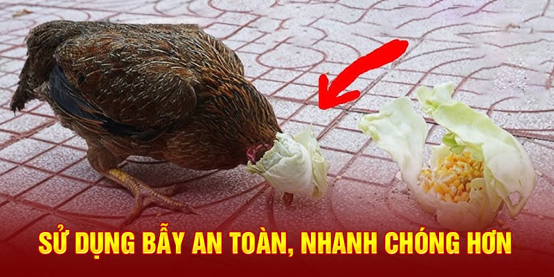 Sử dụng bẫy an toàn, nhanh chóng hơn 