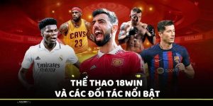 Một số thông tin giới thiệu ban đầu về thể thao tại 18WIN